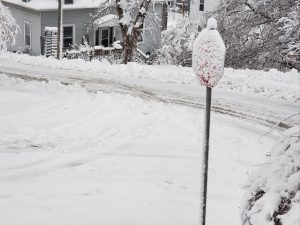 Wet snow covers a road and stop sign
