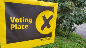 A sign on a lawn in front of a bush indicates where to vote