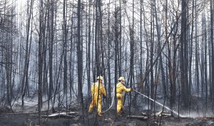 Firefighters dowse hotspots in the Shelburne County fire